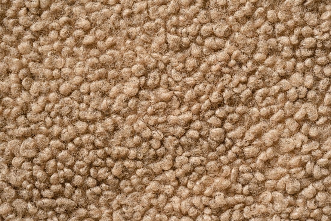 Tapis Laine bouclée Ambre — Collection Organique